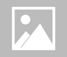 开云-双线并进，穆雷的得分风暴与德国战车的极限篮球哲学，风暴与哲学的碰撞，穆雷得分狂潮对决德国极限篮球